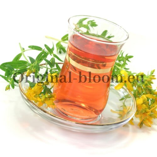 Millepertuis | Hypericum perforatum (+/- 50 graines) – Image 3