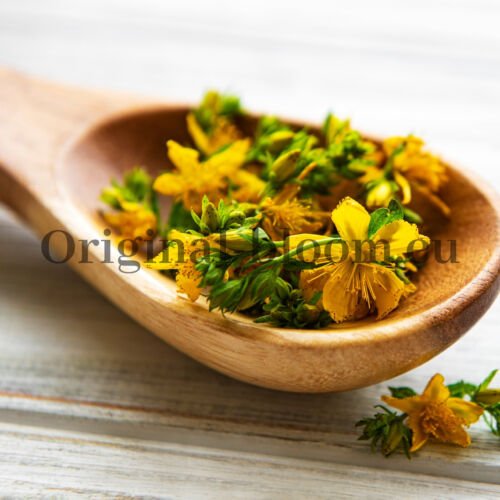 Millepertuis | Hypericum perforatum (+/- 50 graines) – Image 4